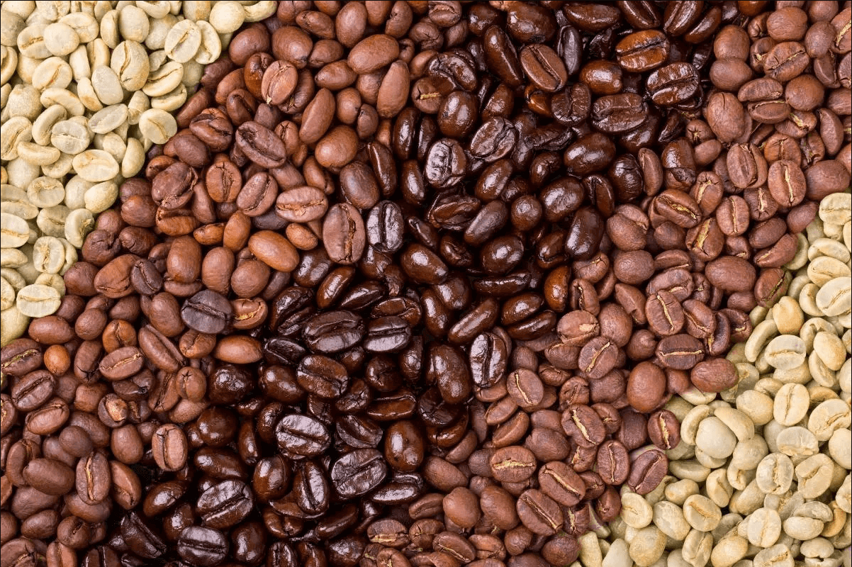 Different Types of Coffee Beans