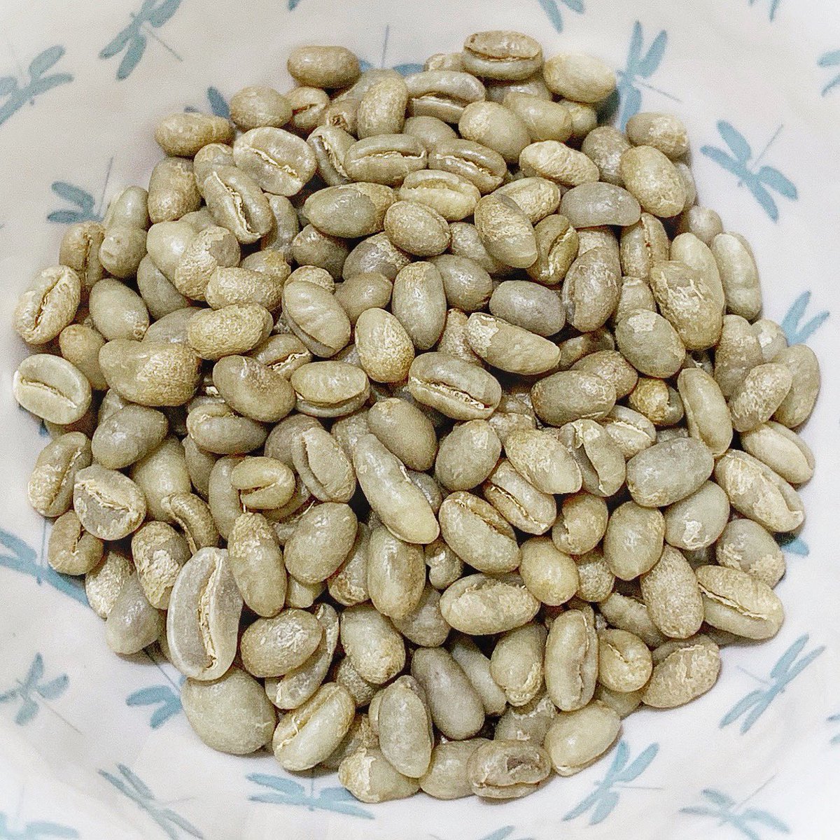 Harvesting Peaberry Coffee