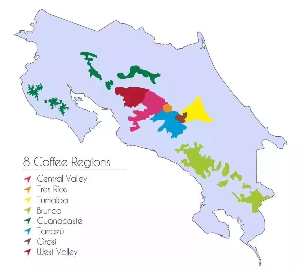 Costa Rican Coffee Areas