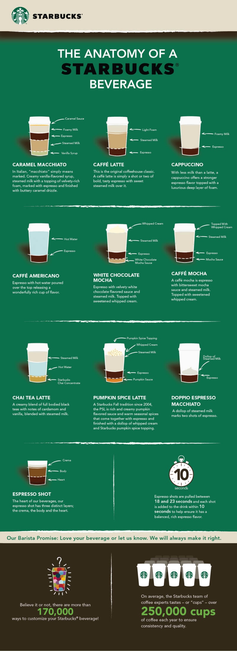 Starbucks Coffee Types Explained