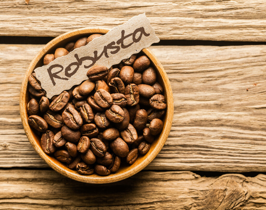 Types of Coffee Beans Robusta